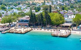 Orkide Bodrum