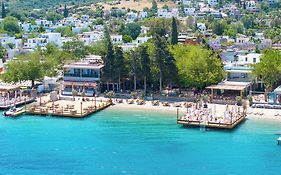 Orkide Bodrum
